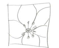 Macro photographing - flowers