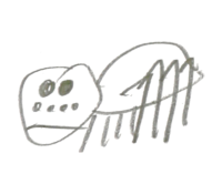 Macro photographing - spiders